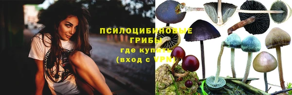 круглые Абаза