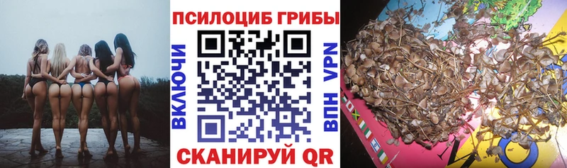 Галлюциногенные грибы ЛСД  блэк спрут ссылки  Козловка  сколько стоит 
